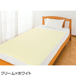 @Ή  hV[c S1F 105×200cm y pC֖ؑhV[ciSʁjK23 z ibsOΏۊOj hV̓  pi { p