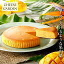 季節限定 御用邸マンゴーチーズケーキ ベイクドチーズケーキ マンゴー トロピカル 夏スイーツ 濃厚 しっとり 人気 お…