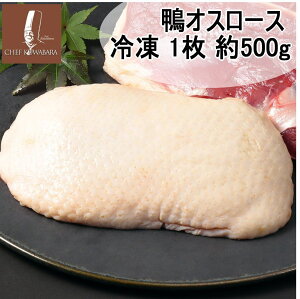 ݌Ɍ 30%OFF IX[Xiނ˓jꖇ Ⓚ 500g i450`500g jܖF1221iIX1j Xe[LJbgi j ނ˓ Ⓚ@Y@XY@oo[