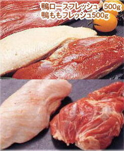 y݁z{i tbVlߍ킹MtgZbg [XtbV500giX2 or IX1jAtbV500g ① JubN@Y@XY Mtg/蕨/ 
