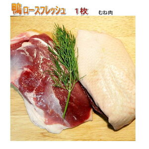 ̃IX[XtbVꖇi450g`500gj傫ڃXe[LJbgi j① ubN Y@XYJ oo[ [  Mtg ⓀiƓƗⓀ