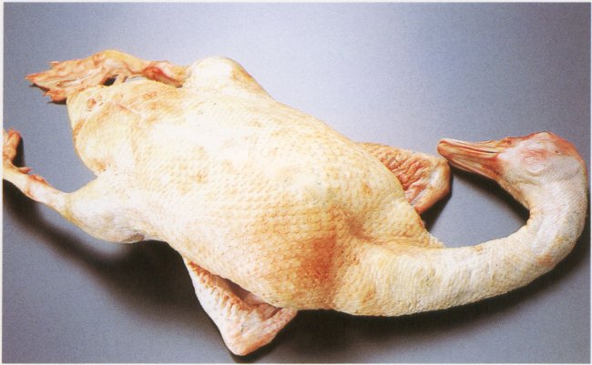 鴨の中抜き（首付き）メス　約2kg　冷蔵　首付き、足（もみじ）付き　業務用