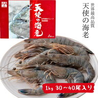 天使の海老 1kg 30~40尾 長さ約17.5cm(目から尾) 30/40 ゴダック 刺身 生食 てんしのえび しゃぶしゃぶ …