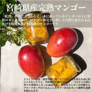 母の日 フルーツ プレゼント ゼリーの人気商品 通販 価格比較 価格 Com