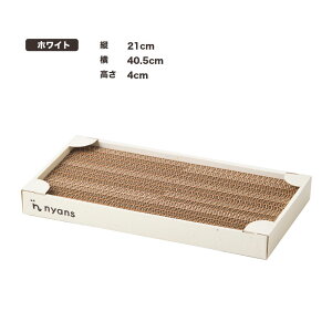 nyans jY ܌ ^ MTCYELTCY ˂ ܂Ƃ lR  jY VRf o[Wpv ؂̍  _{[ Y  bNX