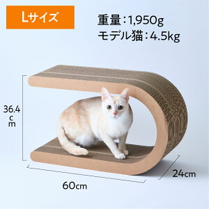 nyans jY ܌ U^ MTCYELTCY ˂ ܂Ƃ lR  jY VRf o[Wpv ؂̍  _{[ Y  bNX