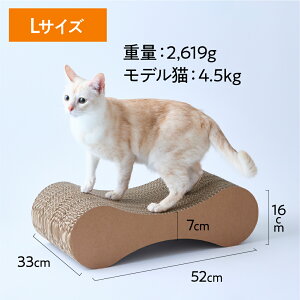 jY ܌ ^ MTCYELTCY ˂ ܂Ƃ lR  jY VRf o[Wpv ؂̍  _{[ Y  bNX