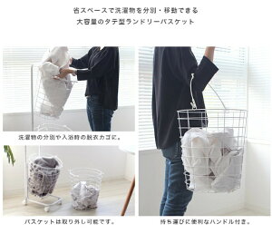 h[oXPbg X 3i LX^[ e 53L h[bN h[S h[[ 󂩂 C[oXPbg  󕨓  E߂ h[{