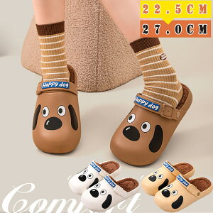 ~p T_ NbO N Y fB[X Xbp [V[Y x_V[Y  g y AEghA Jbv