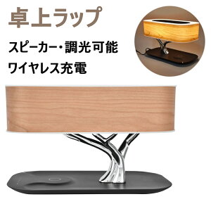 e[uv Xs[J[ 2way ドCgԐڏƖ ̖ؒ ̌ LEDiCgCg u[gD[XXs[J[ ^b` CX[d [h iK@\ ԐڏƖ Ǐ x