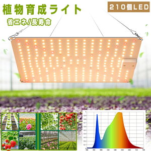 A琬Cg LED 210 Px 2iK cCg ϗtA A  tXyNg gFLED vgCg A琬pv k͔|Cg pCg ȃGl  A_v