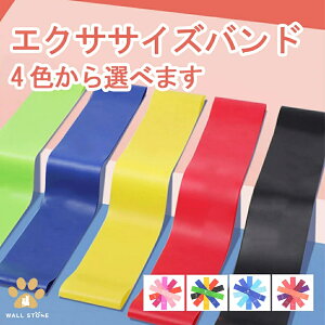 GNTTCYoh g[jO`[u ؃g `[u [voh K K oh GNTTCY Soh [ Xgb` ؃g Soh