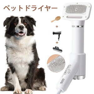 ybghC[ ybguV ybgwA@@3iKx߉\ uV hC[@ybguV duV Lp  ZтɓKp  ybgO[~O ybgpi uV