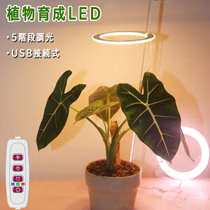 A琬Cg LED ^C}[ A琬LED ϗtA琬Cg A琬 gtXyNg 5Ki LEDv z ԂƐ ͔|Cg k͔|v ⑫ ƕs A
