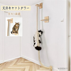 Lbg^[@L܂ƂnbN^[ Lbg L  lR L̂悶oVL|ؔL̃WOWʓV[v^LЂL̃WvZbg