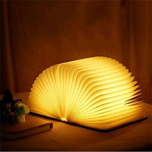 ubNCg pLed e[uv ܂肽 ubNv LED ubN Cg ڂɗD ؐMtg ԏƖUSB[d ubN^Cg iCgCg y 3_[h ڂɗD