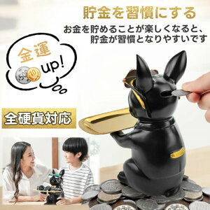 M錢 u L[[gC M  K{bNX 3in1 ʔI[ig ֗Ȏ[ ւɏ u ዾ/ւ̃nR//R/ϕi/LfB[Ȃ