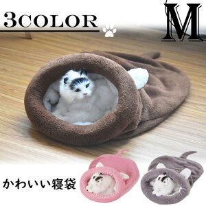  L p L Q ybg  L}bg LoXPbg  ybgxbh L̓Ãxbh 킢 ybg ybgpi  L }bg ~̑΍ h΍