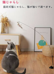 zՎL炵 VRH tFU[h L lR L炵 xt Ղ XgX ^s |ށ@˂@ւ1t (L炵 zՎ)