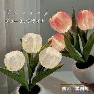 `[bvCg  iCgCg t[  Ɩ ͋C CAbv Q a v[g v Mtg ޏ  Q xbgCg CeA  t |bg @\ 