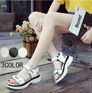 X|[cT_ fB[X Xj[J[T_ T_ ₷ ɂȂ PU _炩NbV h y JWA ^C  ăr[T xg Xgbv X|T