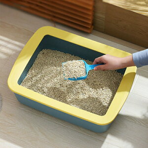 猫 トイレ 猫トイレ キャットトイレ 散らかりにくいネコトイレ 猫トイレ お掃除簡単 飛び散りにくい 48.5*36*13.5cm スコップ付き シンプル ペットトイレ おしゃれ 猫用品 ホワイト グリーン ピ