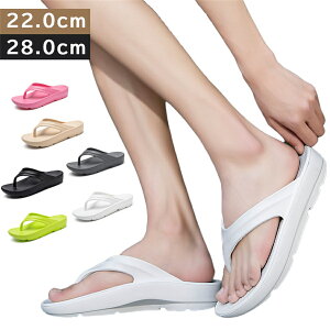 jp EVA r[`T_ fB[X Y r[T  q[ y Y ɂȂ ₷ IV ȂT_ lC ~ JWAV[Y 傫TCY C 