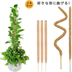 wSx 3{Zbg |x DȌ`ɋȂ U x t[X^h Ԏx ϗtAXe x wSx鐫A RRXeBbNx AT|[g ێ {ێ RR