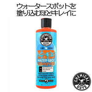 Water Spot Remover 16oz�@CHEMICAL GUYS �P�~�J���K�C�Y�@��ԗp�i�@�J�[�����e�i���X�@�@�J�[�p�i�@�J�[�P�A