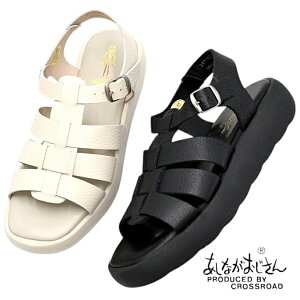 Ȃ  OJT_ 3171001 {v U[ T_ ɂȂ fB[X C