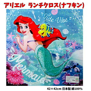 `NX AG vZX itL fBYj[ 42cm { ̎q vZXitL g}[Ch 唻 nJ` 킢 ysk9156z