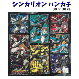 nJ` ubN VJI V ό`{ q j̎q LN^[ v[ d ͂Ԃ N700n ₫ hN^[CG[ ObY ̂ ܁yb1205z