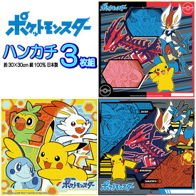 ポケモンハンカチ 3枚セット ポケットモンスター 人気柄 キャラクター 男の子 女の子 子供 キッズ グッズ 【b1328】