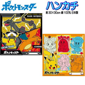 ハンカチ ポケモン 2024 スカーレット バイオレット ポケットモンスター キャラクター はんかち 男の子 女の子 子供 キッズ グッズ ポケモンハンカチ ニャオハ クワッス ホゲータ ピカチュウ レックウザ リザードン 人気 【b1329】