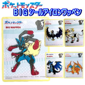 ポケモン ビッグ ワッペン アイロン シール アイロン接着 入園 ソルガレオ メガリザードン メガルカリオ 男の子 人気 かっこいい 【wp0166(PXG PSG)】
