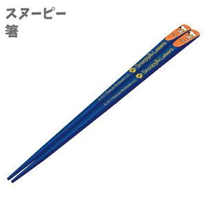 V픢 Xk[s[ SNOOPY s[ibc ̎q w w 킢 D LbY v[g 22.5cm ANTS45 XP[^[yha404719z