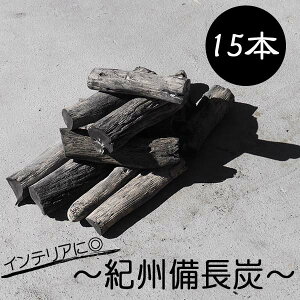 IBY  p 15{pbN L  CeA Jbg  gC C  ~l EH[^[    ̓ ̓ hV̓ Mtg ysumi0003z
