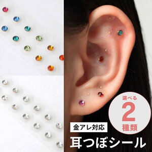 y[zy99%off -6/4 20-zڃV[ c{WG[  V[  WG[ AM[Ή 100 AM[Ή NX^ Xg[^Cv NA NAJ[ ~b