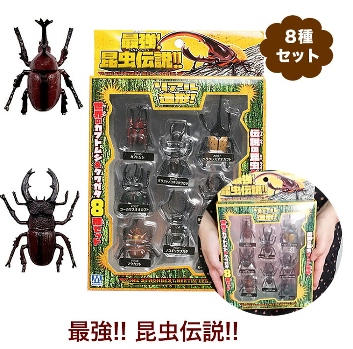 楽天市場】昆虫伝説 昆虫セット カブトムシ クワガタ 8種 子供用 幼児 