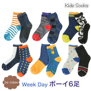 N[ \bNX C 6Zbg j̎qp qp y26z ۈ牀 ct wZ w qp LbYp oYj a v[g ʉ ʊw Mtg Vv    16cm 