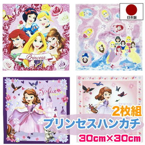 シンデレラ ベル キッズファッション小物 雑貨の人気商品 通販 価格比較 価格 Com