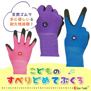 _yVLO1ʊl^ ~ߎ R  q S w ǂR ~ Xx~ ق AEghA @ ~ߕt VRS j̎q ̎q sN u