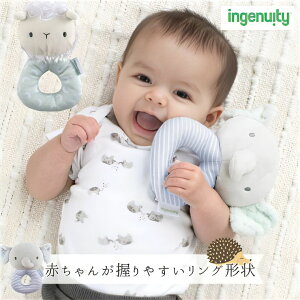 ANeBreBgC g 炪 ʂ Ђ  ingenuity CWFjCeB xr[g l` xr[ Ԃ 0` oYj a  킢 j̎q ̎q q