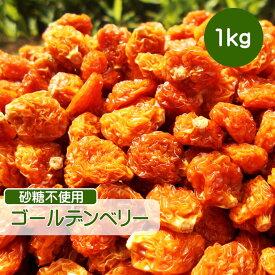 楽天市場 ドライフルーツ ほおずきの通販