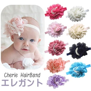 ywAoh xr[z GKg o`[t ԁi6j n[to[Xf[ wA[oh Ԃ  \ 