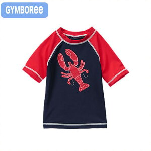 W{[(Gymboree s|1)lCr[×bh̃uX^[bVK[h (6M 9M 12M 18M 6 9 12 18 1 1 2 2 2T 24M xr[p Ԃp j̎qp)(80cm 90cm 95cm 100cm 110c