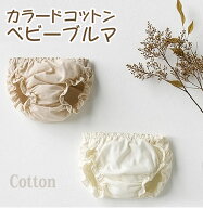 ＼楽天ランキング1位獲得／ ブルマ コットン 綿 ベビー 赤ちゃん 70cm 80cm 90cm ふんわり ナチュラル ベ…