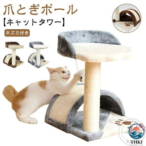 �y�S�i2�_��5%OFF�z�~�j�^���[ �^���s������ �|�[�� �L�������� �����u�� �K���K�� �܂Ƃ� �ȃX�y�[�X �L�̗V�я� �ϋv �ܖ��� ��� �L�^���[ ���R �߂Ƃ� ���Q�^���[ �l�Y�~ �L���b�g�^��