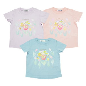 y{̖100z2024N ĕ ݂炵 V TVc Sumikko gurashi PICK PICK