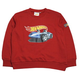 2026�N �t�� �z�b�g�E�B�[�� �~�j���� �X�E�F�b�g�V���c Hot Wheels